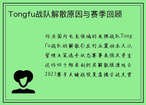 Tongfu战队解散原因与赛季回顾