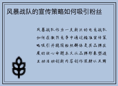风暴战队的宣传策略如何吸引粉丝